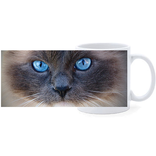 Beker - Siamees kat Close-up