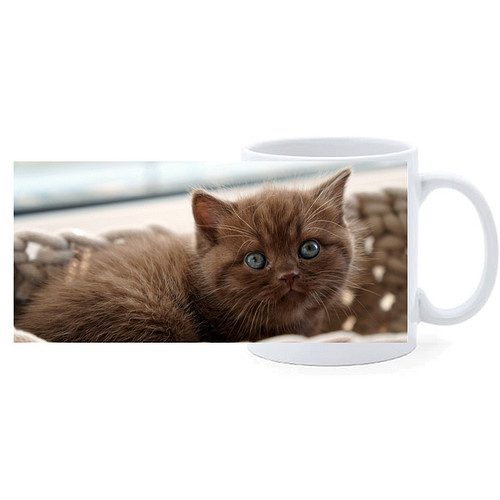 Beker - Britse Langhaar Kat Bruin met Blauwe ogen