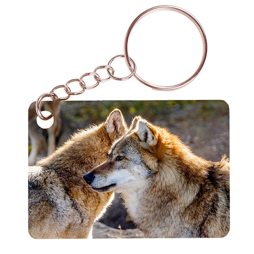Sleutelhanger 6x4cm - Wolf in Roedel