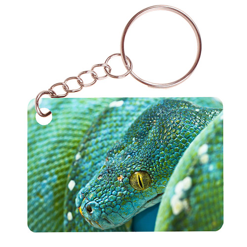 Sleutelhanger 6x4cm - Slang Groen/Blauw Boompython