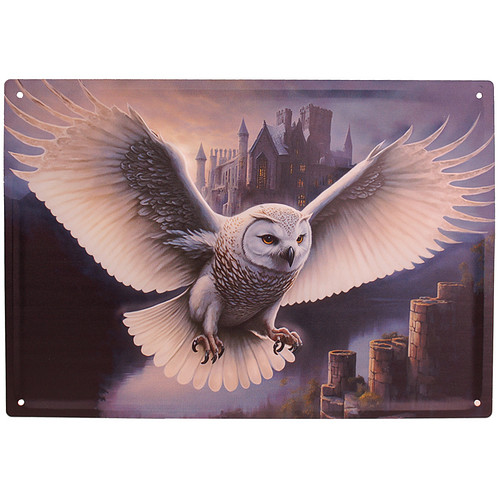 Metalen Bord reliëf - Sneeuw Uil met Kasteel - 40,5x28cm
