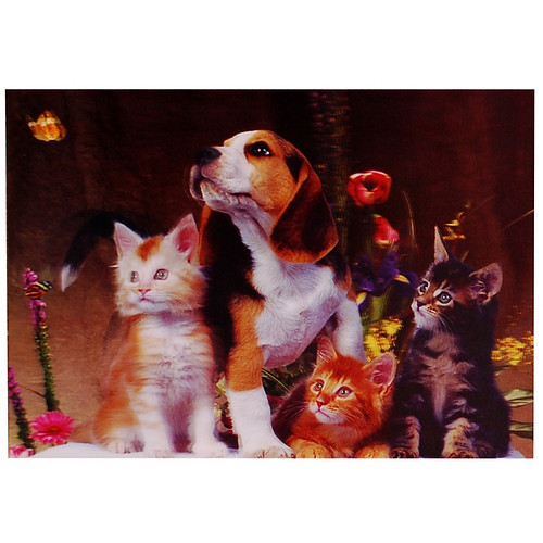3d poster Hond en kittens