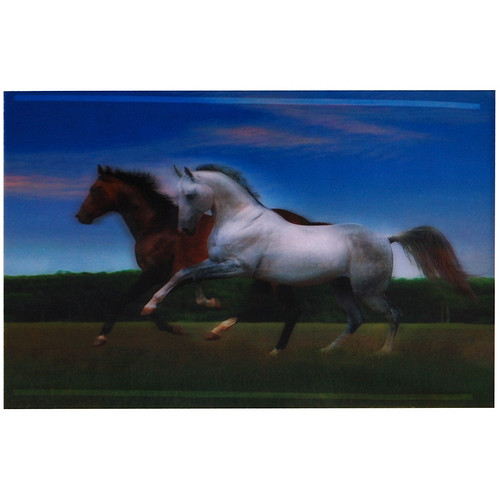 3-d poster galopperende paarden