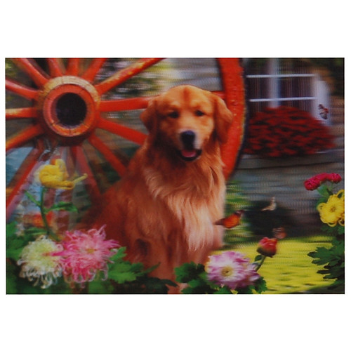3d poster Golden Retriever