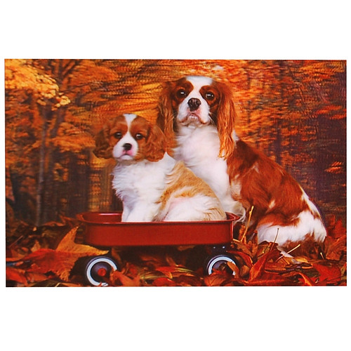 3d poster Cavelier King Charles Spaniels