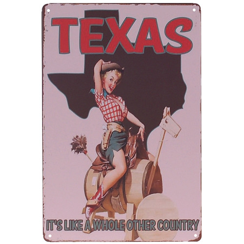 Metalen plaatje - Texas