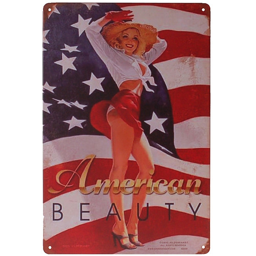 Metalen plaatje - American Beauty