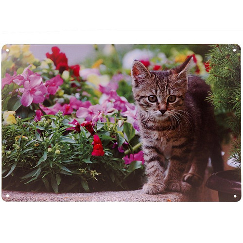 Metalen plaatje kitten in de tuin - 33x21 cm 