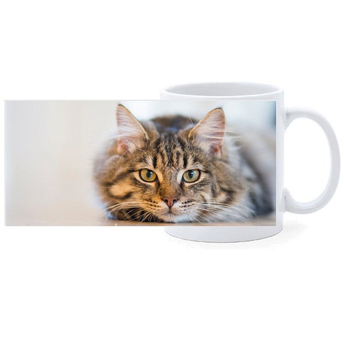 Beker - Poes Getijger Liggend