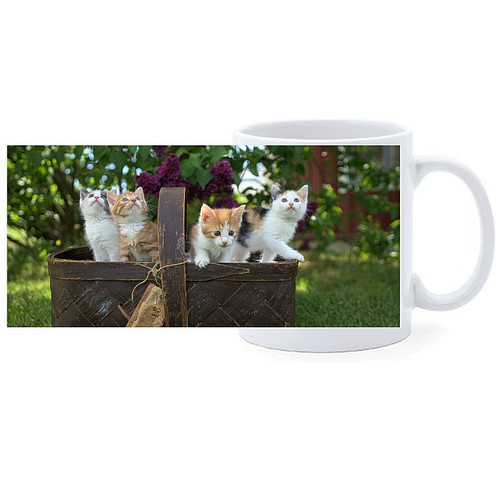 Beker - Mand met Kittens in Tuin