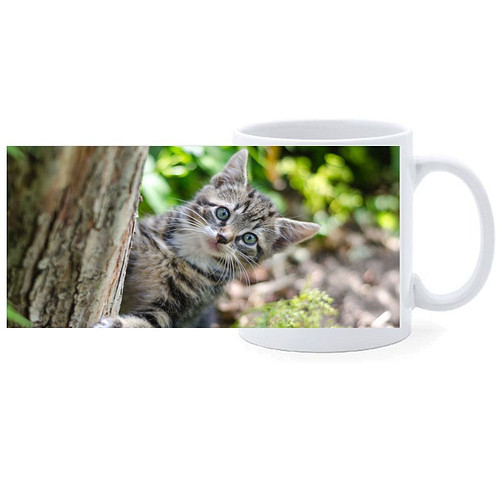 Beker - Kitten in Tuin achter Boom