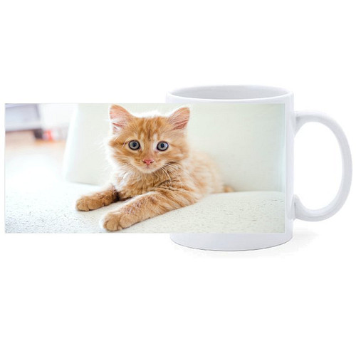 Beker - Kitten Rood op Witte Bank