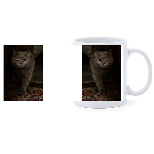 Beker - Donkergrijze Poes met gele ogen