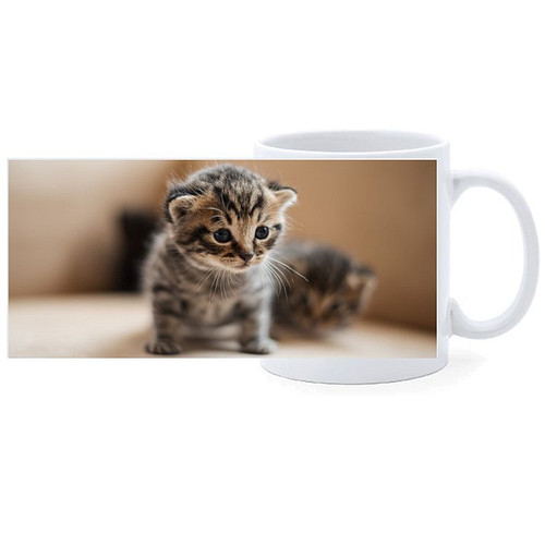 Beker - Kittens op Onderzoek-Ontdekkingstocht