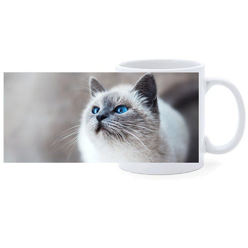 Beker - Poes Lichtgekleurd met Blauwe Ogen