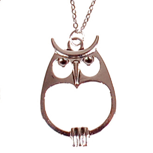 Ketting RVS Zilverkleurig 55cm - Hangertje Uil Zilverkleurig 3,5x2cm