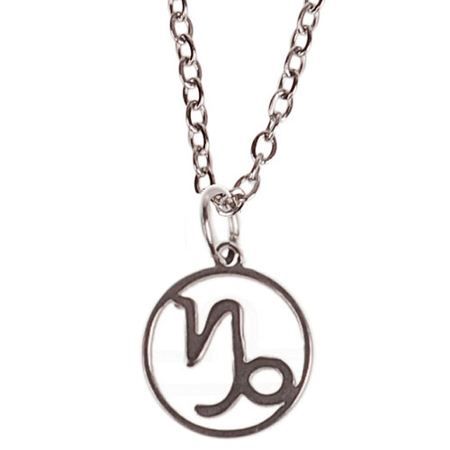 Ketting Zilverkleurig 55cm - Hangertje Sterrenbeeld RVS -  Steenbok