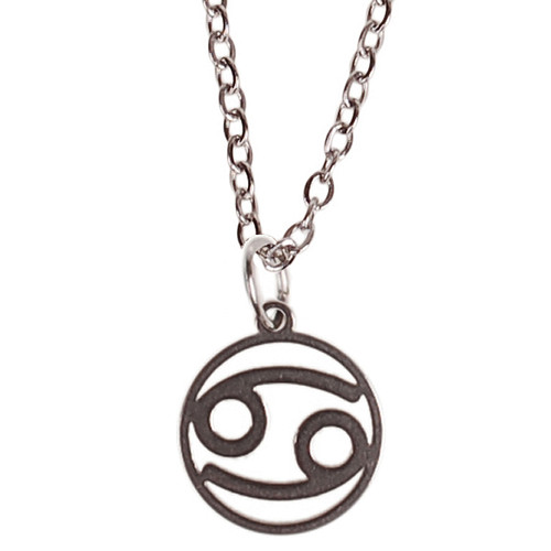 Ketting Zilverkleurig 55cm - Hangertje Sterrenbeeld RVS -  Kreeft