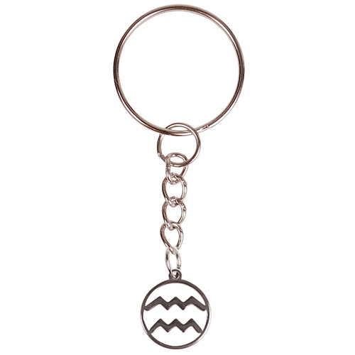 Sleutelhanger/Tashangertje - Zilverkleurige Sleutelring - hanger sterrenbeeld Waterman