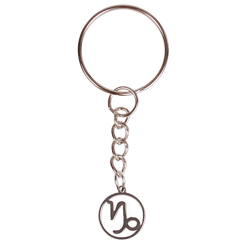 Sleutelhanger/Tashangertje - Zilverkleurige Sleutelring - hanger sterrenbeeld Steenbok