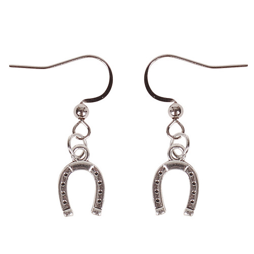 Oorbellen Zilverkleurig - Hangertje Hoefijzer zilverkleurig 1cm