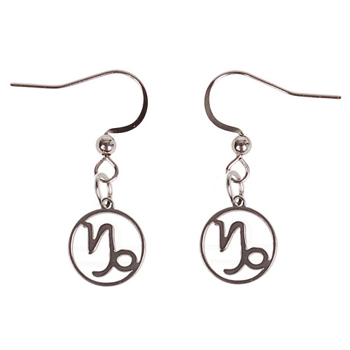 Oorbellen Zilverkleurig - hanger sterrenbeeld Steenbok