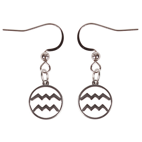 Oorbellen Zilverkleurig - hanger sterrenbeeld Waterman