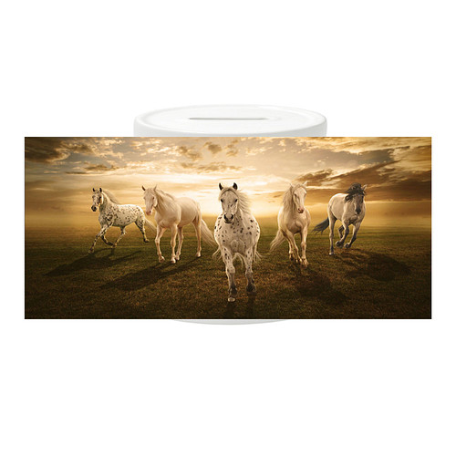 Spaarpot - Paarden Appaloosa als Groep Sunset