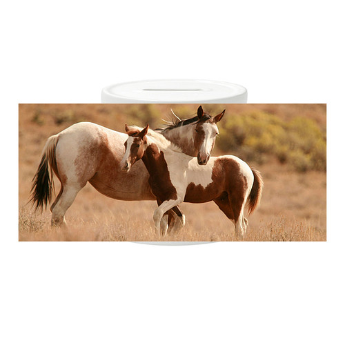 Spaarpot - Paarden Paint Merrie met Veulen Bruin gevlekt