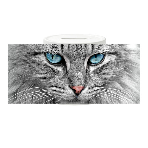 Spaarpot - Grijze Noorse Boskat - Closeup