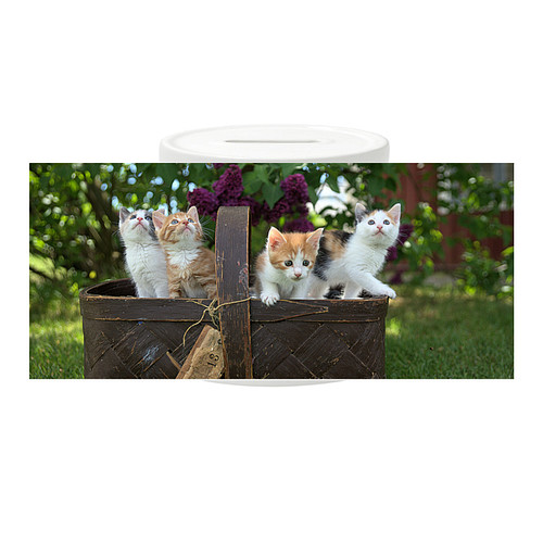 Spaarpot - Mand met Kittens in Tuin
