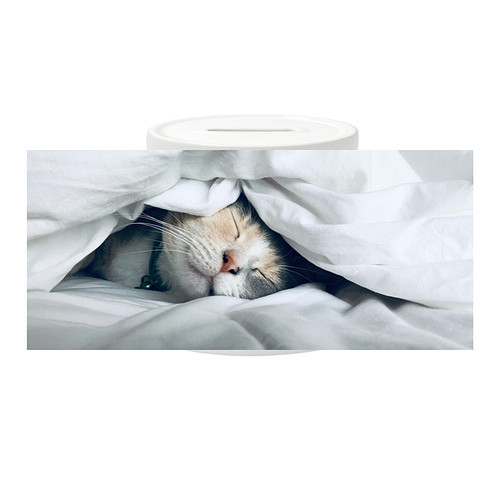 Spaarpot - Poes Slapend onder Laken