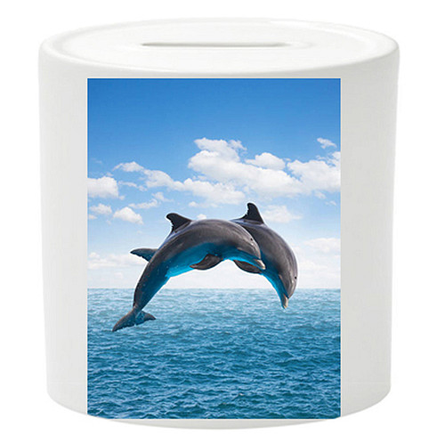 Spaarpot - 2 Dolfijnen in Sprong