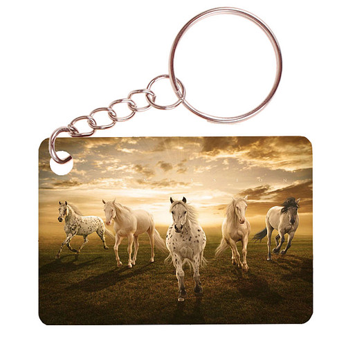 Sleutelhanger 6x4cm - Paarden Appaloosa als Groep Sunset