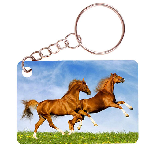 Sleutelhanger 6x4cm - Bruine Paarden Fris in Weide