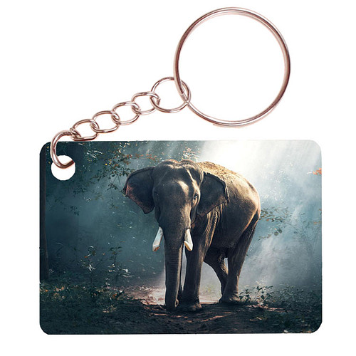 Sleutelhanger 6x4cm - Olifant in Bos met Zonnestralen