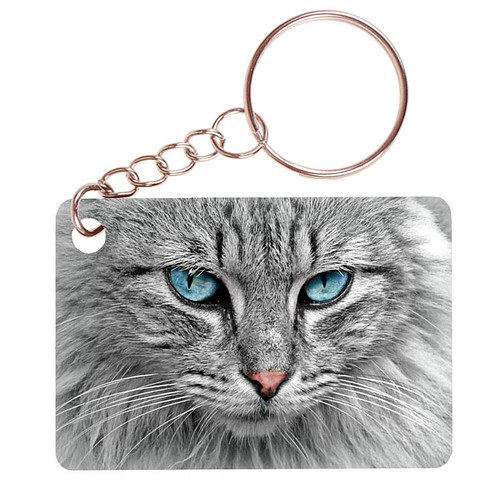 Sleutelhanger 6x4cm - Grijze Noorse Boskat - Closeup