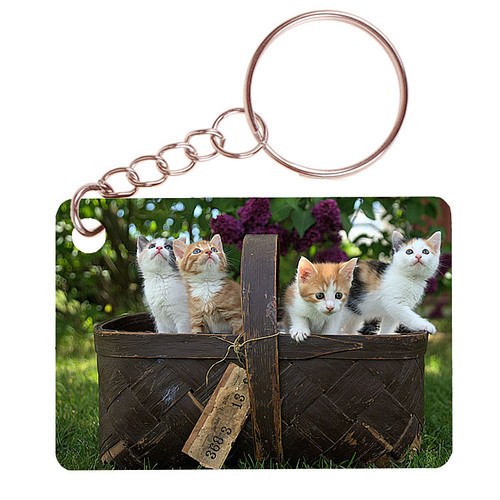 Sleutelhanger 6x4cm - Mand met Kittens in Tuin
