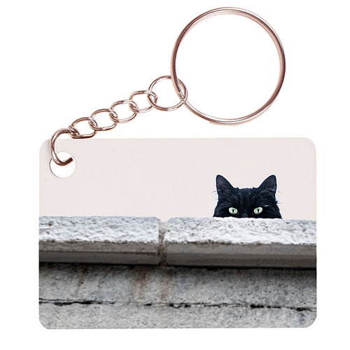 Sleutelhanger 6x4cm - Zwarte Kat - Hoofd achter stenen rand