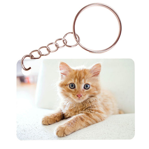 Sleutelhanger 6x4cm - Kitten Rood op Witte Bank
