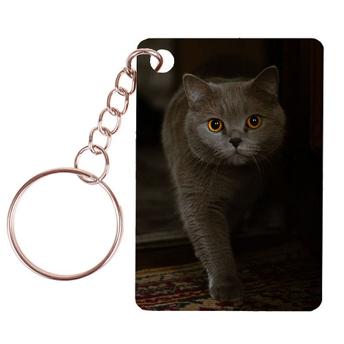 Sleutelhanger 6x4cm - Donkergrijze Poes met gele ogen