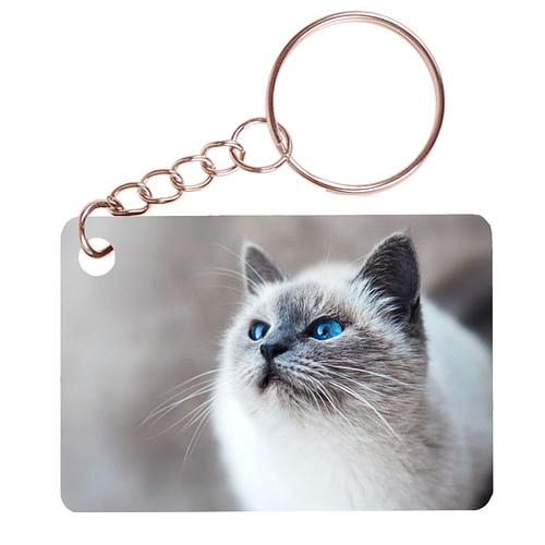Sleutelhanger 6x4cm - Poes Lichtgekleurd met Blauwe Ogen