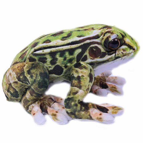 Knuffel Kikker Groen Gevlekt - 24 cm