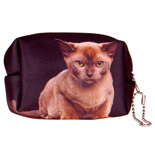 Kleine etui/klein toilettasje Poes
