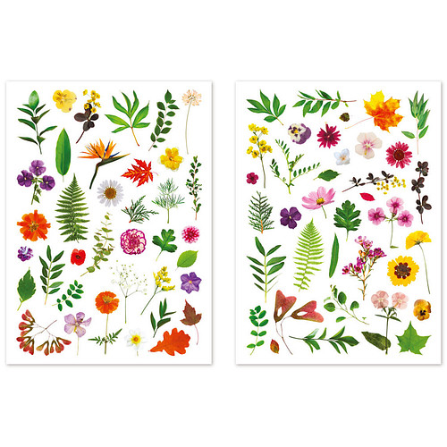 Stickers - Herbarium Bloemen & Bladeren - Scrapbook Hobby DIY - 2 Stickervellen Transparant - 1.2-6cm - 73 Stuks