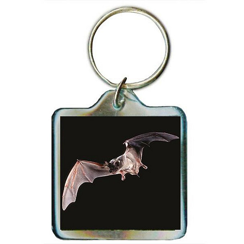 Sleutelhanger Vleermuis
