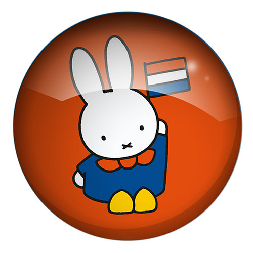 Koelkastmagneet - Glasmagneet Nijntje - Rond Oranje Nederlandse Vlag - 3cm