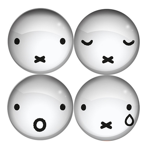 Koelkastmagneet - Glasmagneet Nijntje Snoetjes - Rond Wit - Complete Set - 3cm