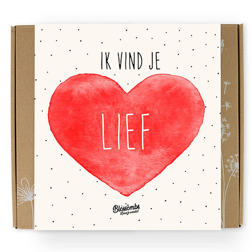 Blossombs Bloem Bommetjes Giftbox Hartjes Ik vind je lief - 9 stuks 