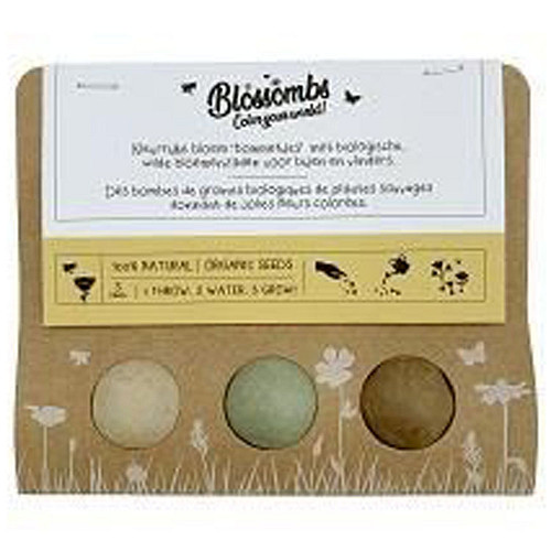 Blossombs Bloem Bommetjes in Cadeauverpakking - 3 Stuks 